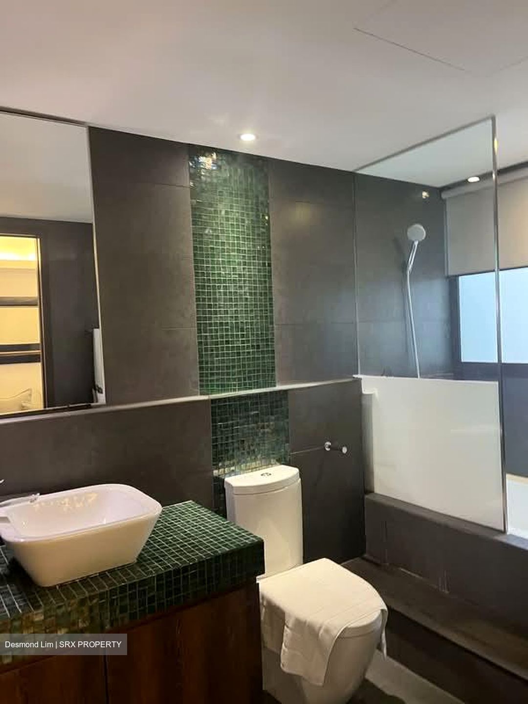 Lorong 41 Geylang (D14), Terrace #529253771